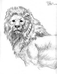 lion